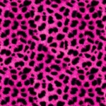 Pink Leopard